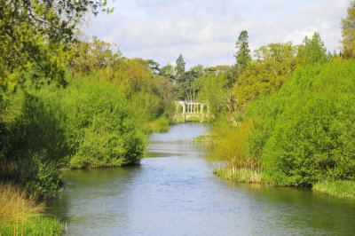 The New Forest - South of England
