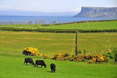 Antrim Coast
