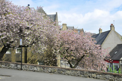 Stirling