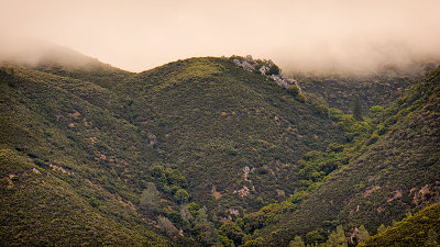 DSC_4516.jpg