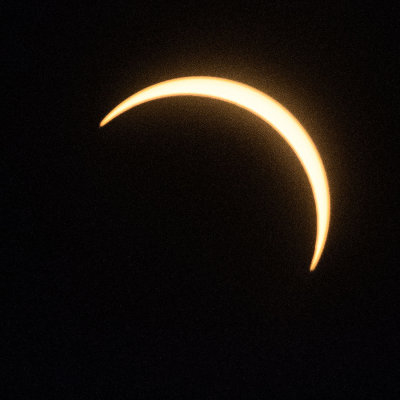 DSC_7563.jpg