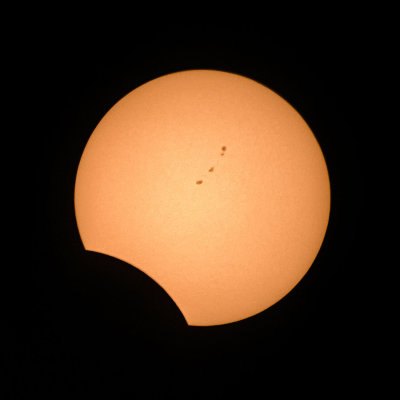 DSC_7637.jpg