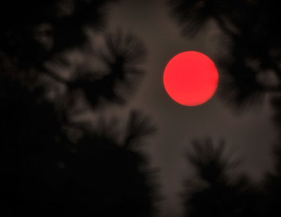DSC_7664.jpg