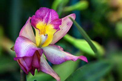 DSC_1319.jpg
