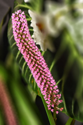DSC_1638.jpg