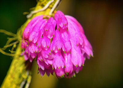 DSC_1562_01.jpg