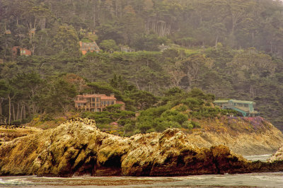 DSC_7061.jpg