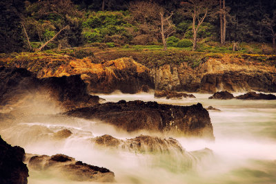 Point Lobos State Natural Reserve, California