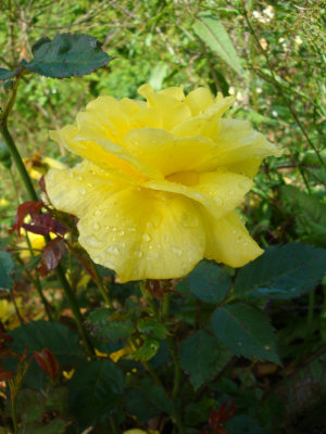 DSC07095.JPG