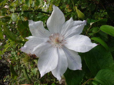 DSC07123.JPG