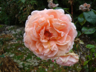 DSC07296.JPG