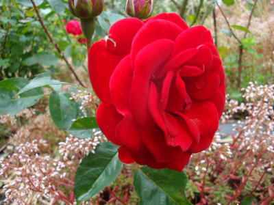 DSC07359.JPG