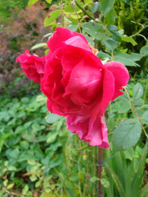 DSC07373.JPG