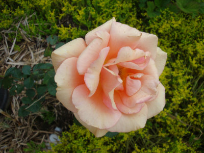 DSC07412.JPG