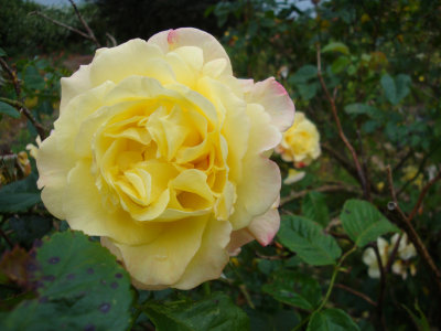 DSC07447.JPG