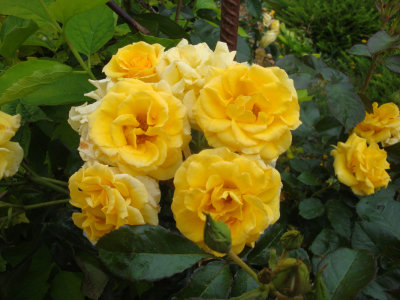 DSC07449.JPG