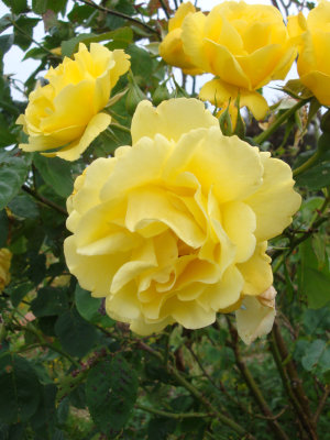 DSC07465.JPG