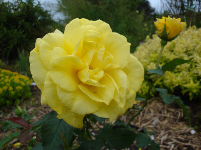 DSC07483.JPG