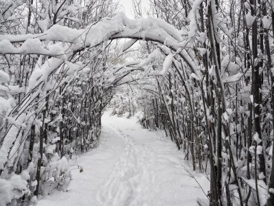 Bozeman snow