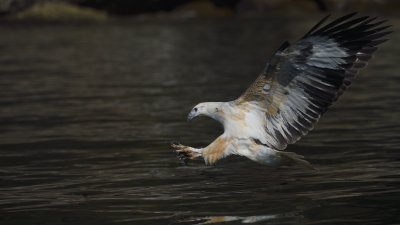 g10/23/1148723/3/166109509.mp1Lx4ln.jpg