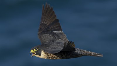g10/23/1148723/3/168406536.6Gv4HIui.jpg