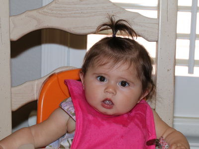IMG_0695a_resize.jpg