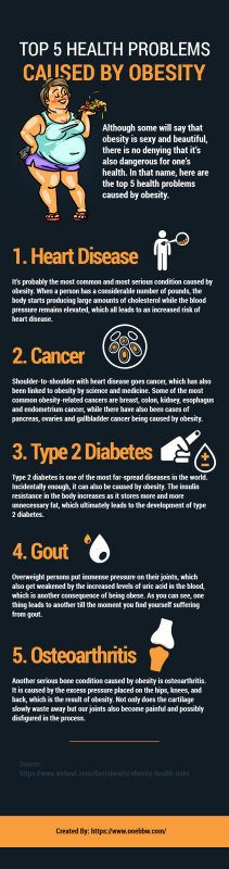  Top 5 Health Problems Caused by Obesity