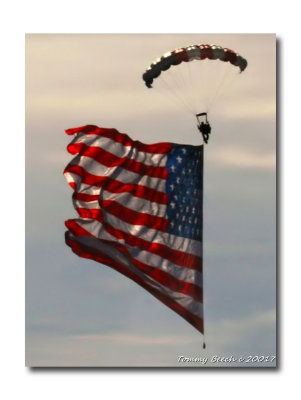Veterans Day 2017