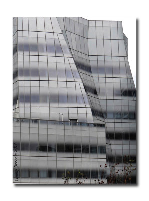 Frank Gehry IAC building