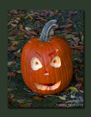 Hey YOU!....Yeah, YOU.... Happy Halloween