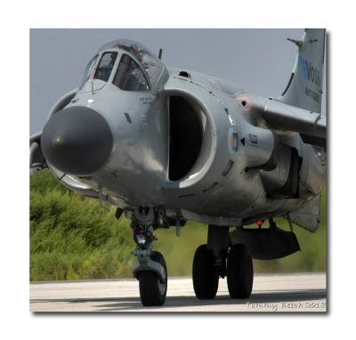 Harrier.... ready to roll