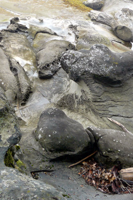 Rocks masquerading as seals.