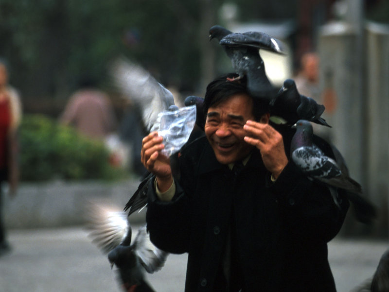 Man with pigeons in Asakusa, Japan