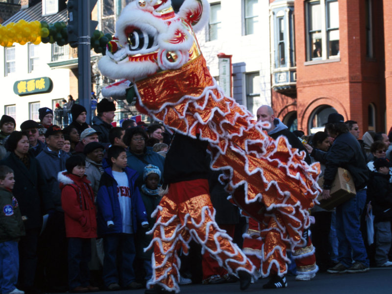 dragon dancer