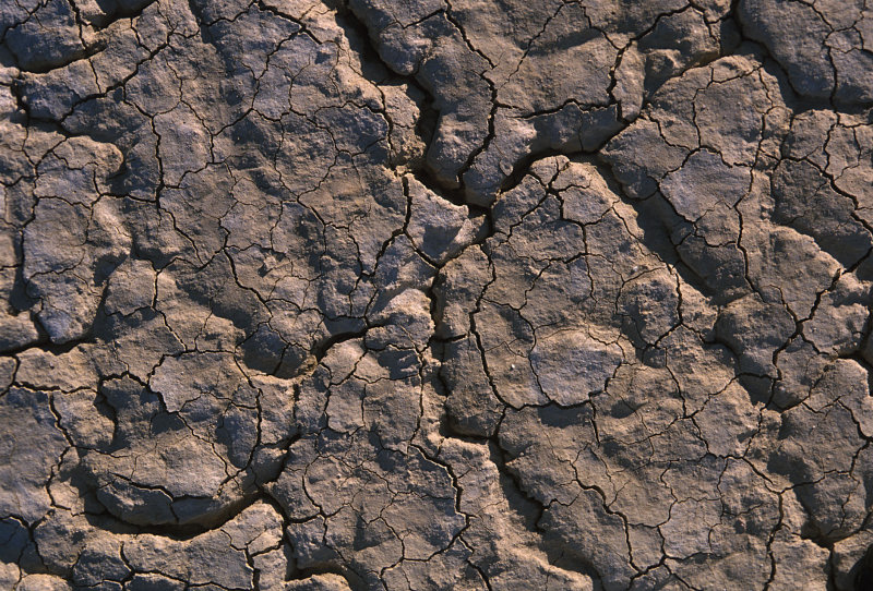 aerial view of black rock city