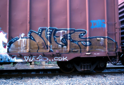 DVES