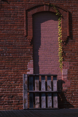 brick and ivy