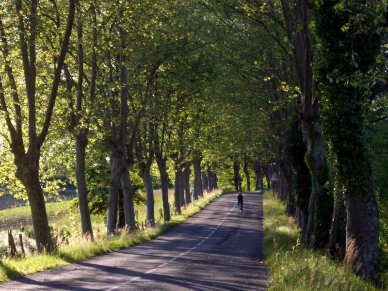 Sur la route qui relie Monein  Navarrenx