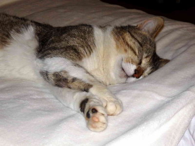 Le sommeil d'Emile