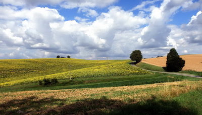 Mombert dans le Gers