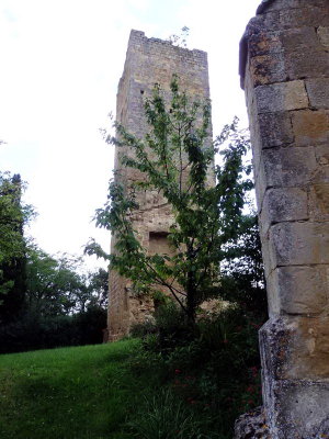 P7250173.jpg