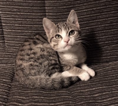 Et voilà : 3 mois !