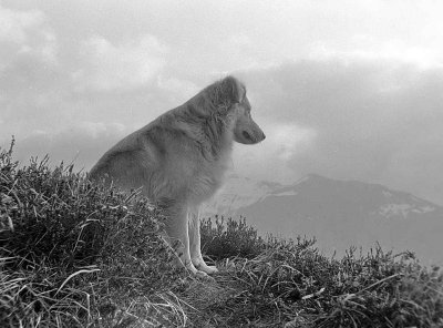 Val dans ses montagnes