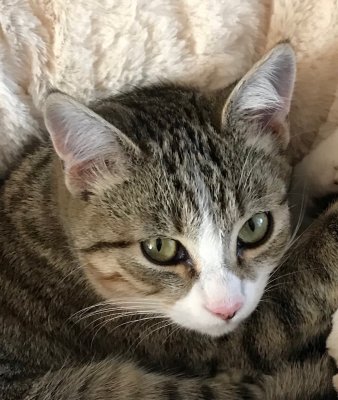 Un petit portrait ?