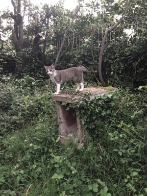 J'ai trouvé une petite maison !