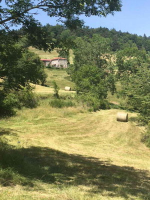 Jour 2 - Etape