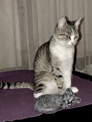 Dire que je fus si petite !