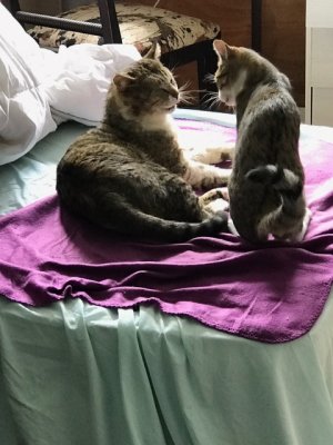 Emile et Nickie se racontent