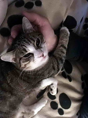 Nickie n'est que tendresse