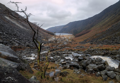 The river Glencalo flowing down towards Glendalough